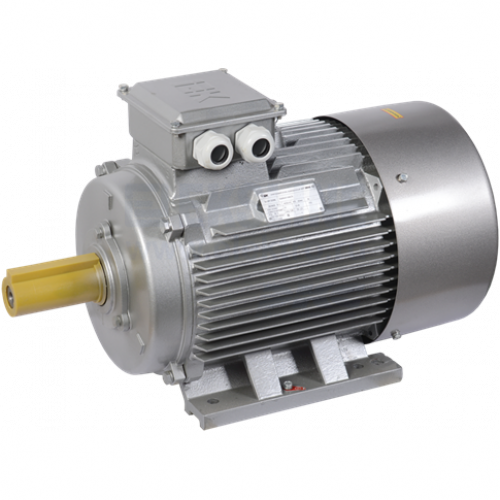 Электродвигатель АИР 200M6 660В 22кВт 1000об/мин 1081 (лапы) DRIVE ИЭК / DRV200-M6-022-0-1010