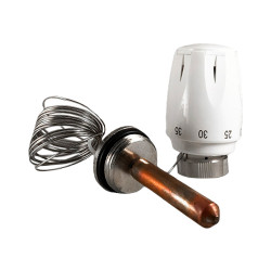 Термостатическая головка H-01 М30x1,5 с погружным датчиком и заглушкой  / ТТ000015097