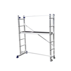 Лестница-помост универсальная многоцелевая 2*6